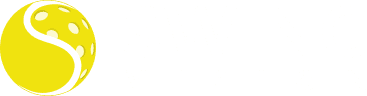 Swingvision logo